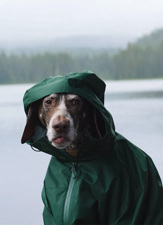 OUTERWEAR