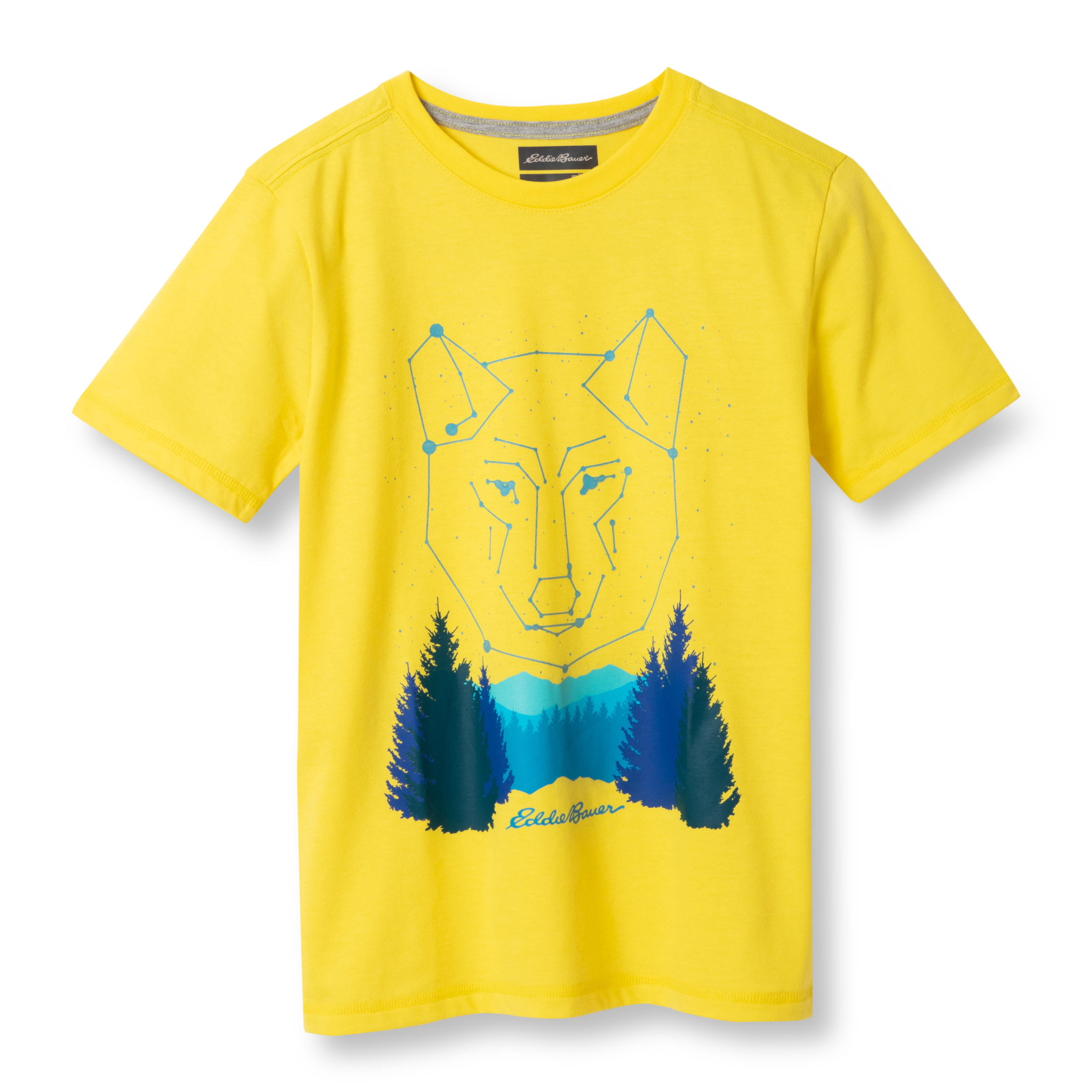 Boys Graphic Short-Sleeve T-Shirt