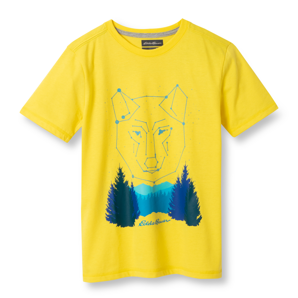 Boys Graphic Short-Sleeve T-Shirt