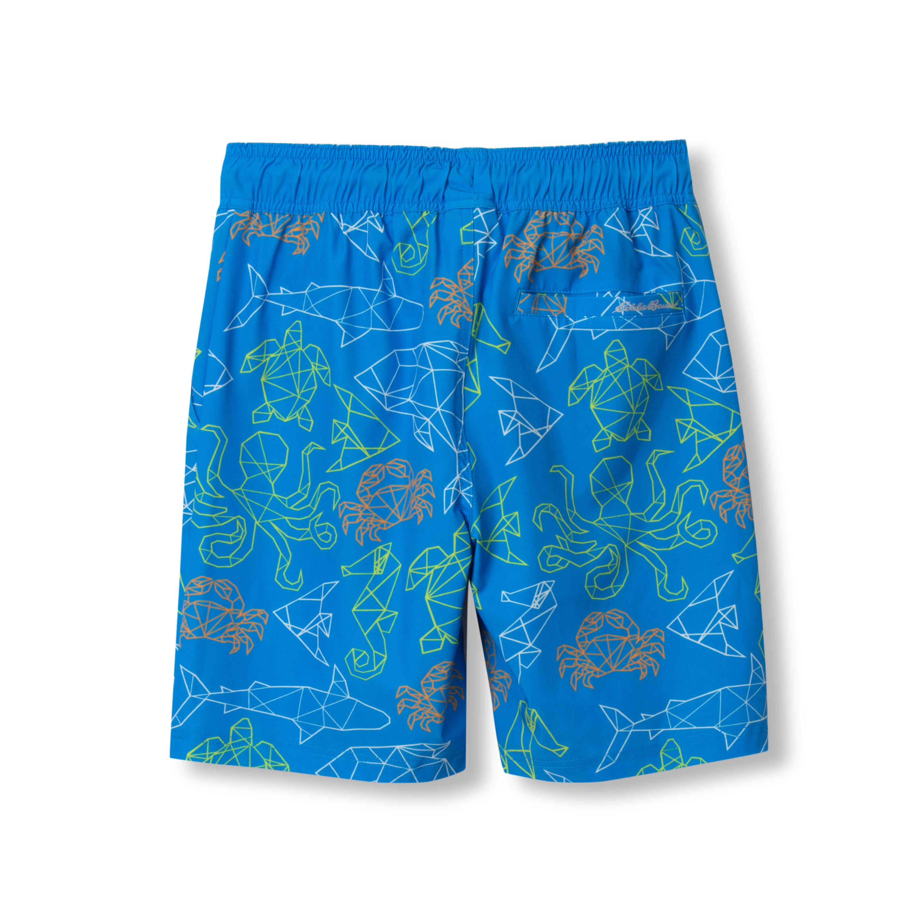 Boys Sea Spray Printed Swim Shorts