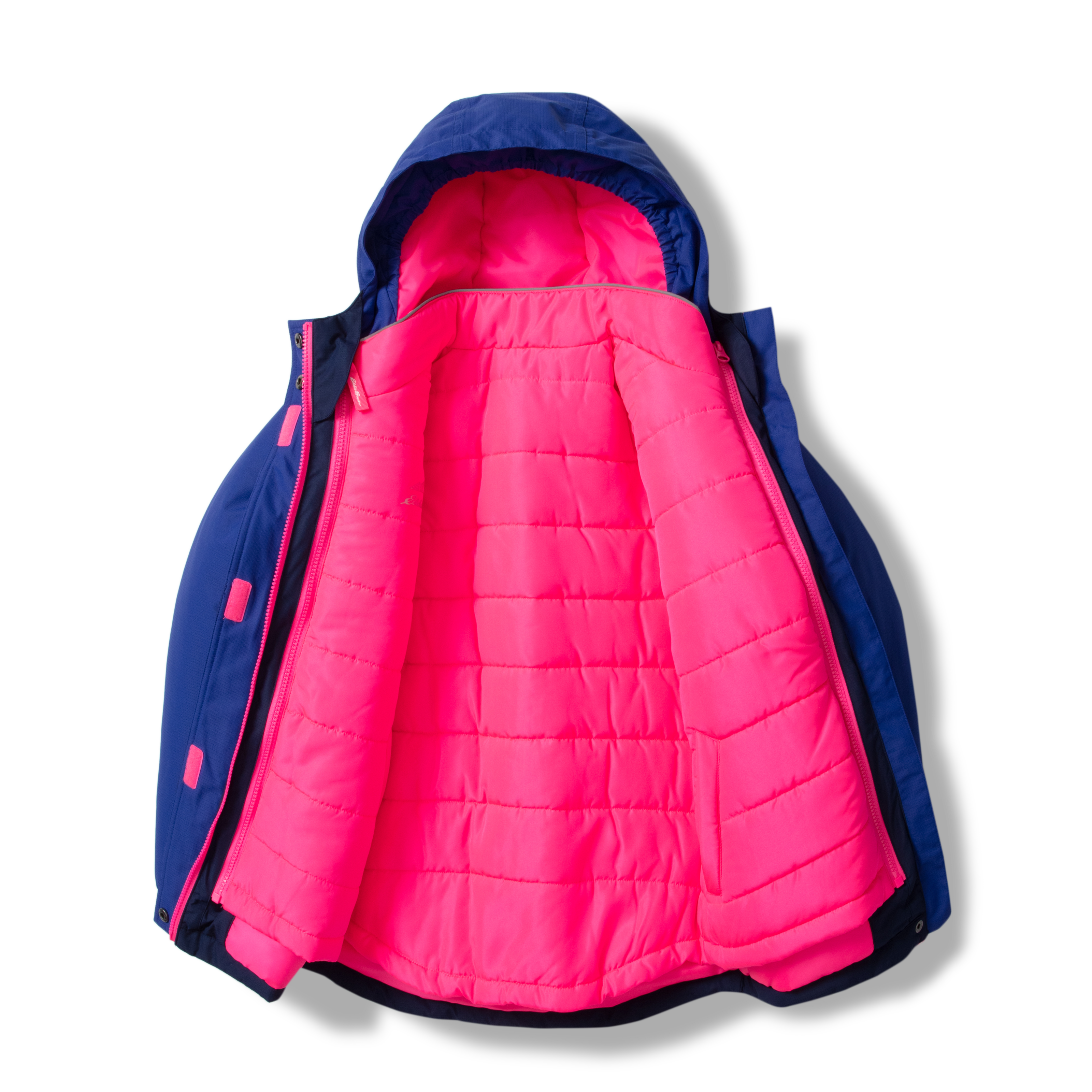 Girls Powder Search 3-In-1