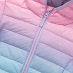Toddler Cirruslite Down Hooded Jacket