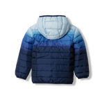 Toddler Cirruslite Down Hooded Jacket