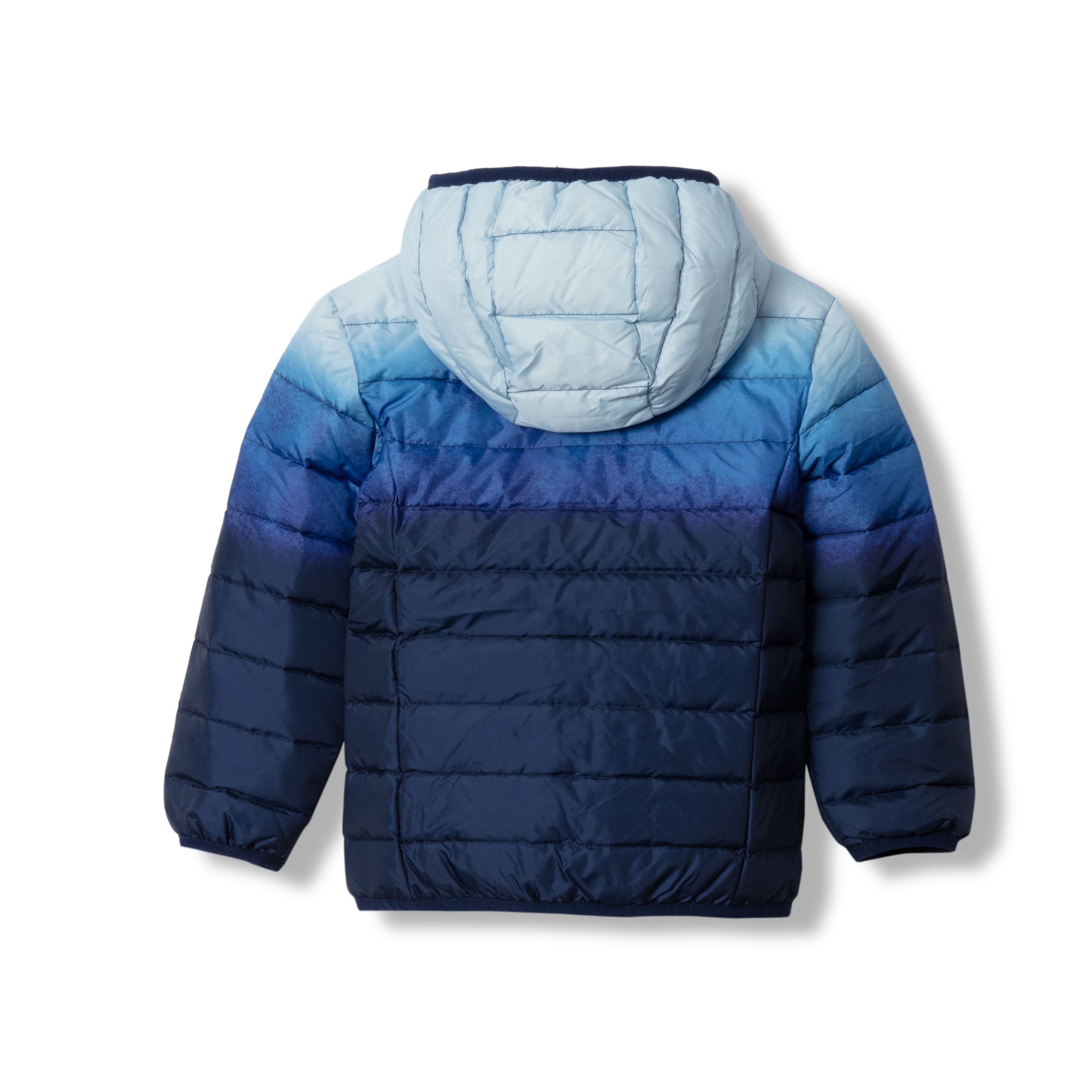 Toddler Cirruslite Down Hooded Jacket