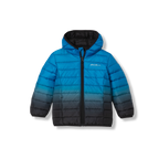 Toddler Cirruslite Down Hooded Jacket