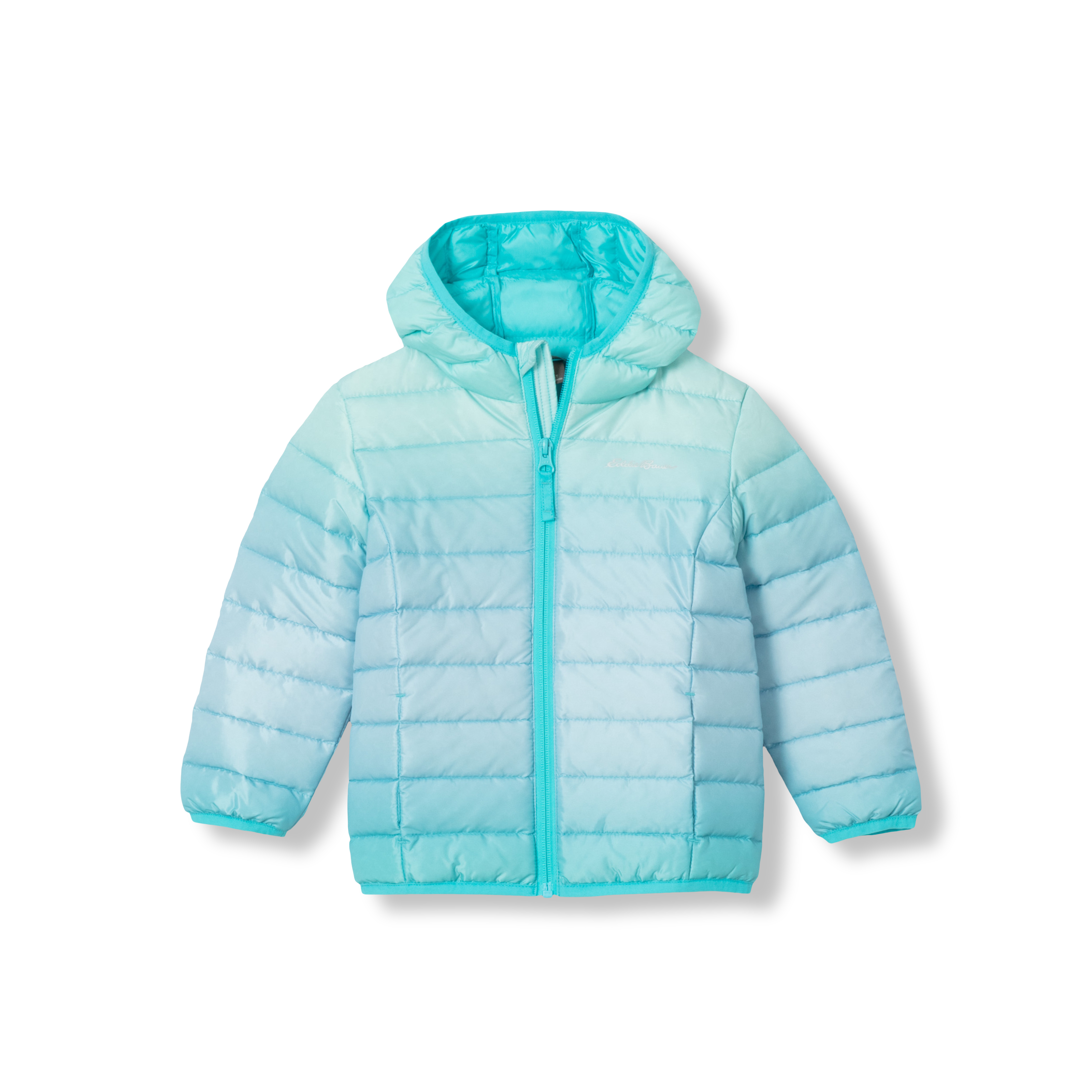 Toddler Cirruslite Down Hooded Jacket