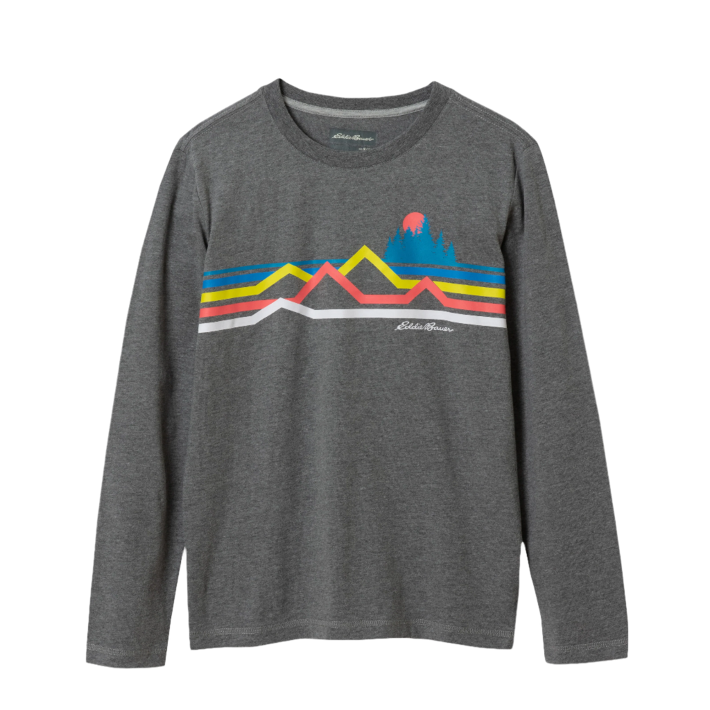 Boys Graphic Long-Sleeve T-Shirt - 2 Pack