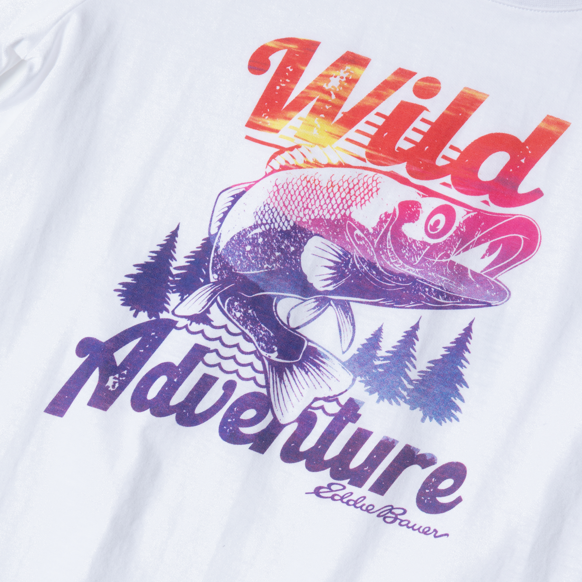 Boys Graphic SS T-Shirt - Bundle
