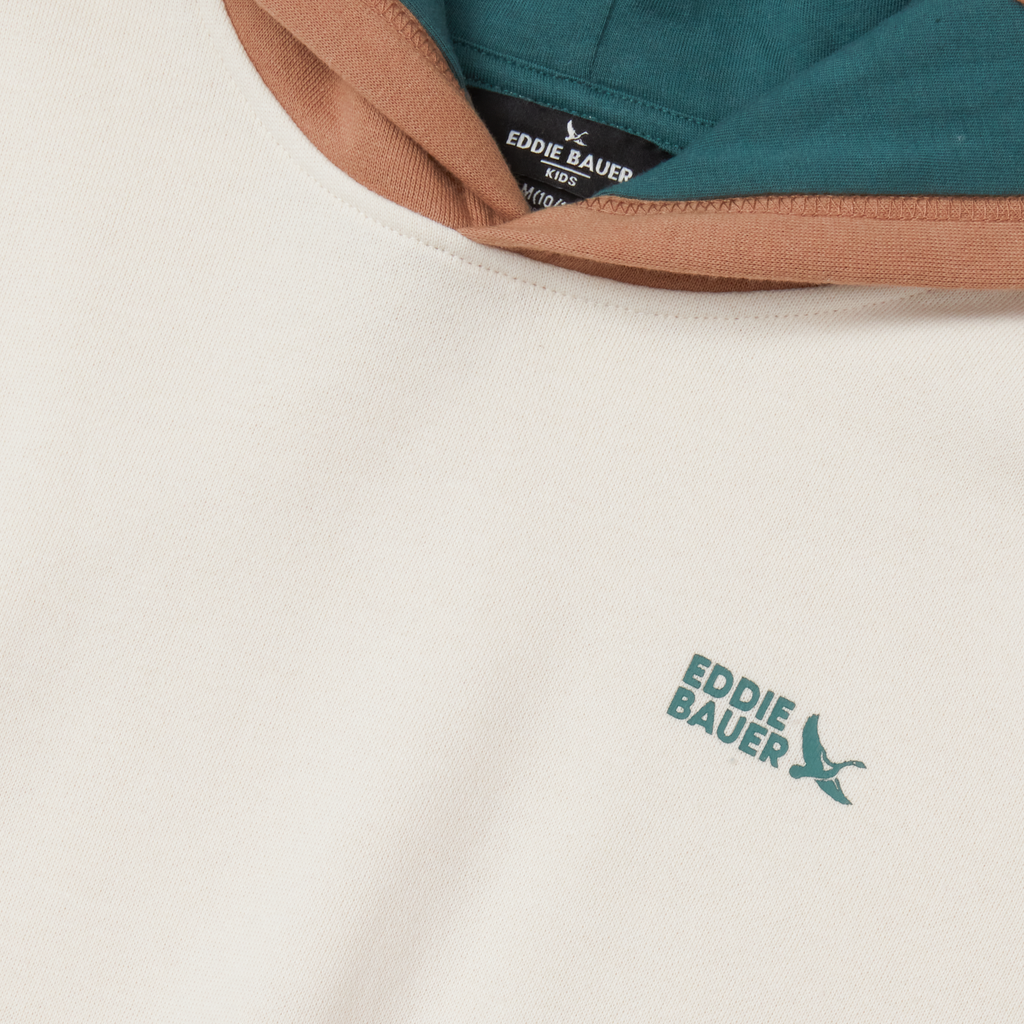 Boys Graphic Camp Fleece Hoodie