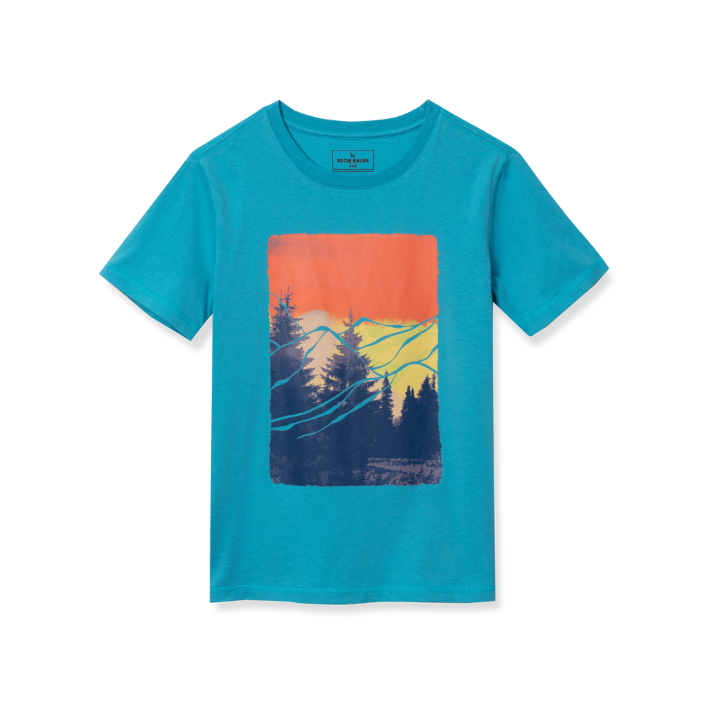 Boys Short Sleeve Graphic T-Shirt