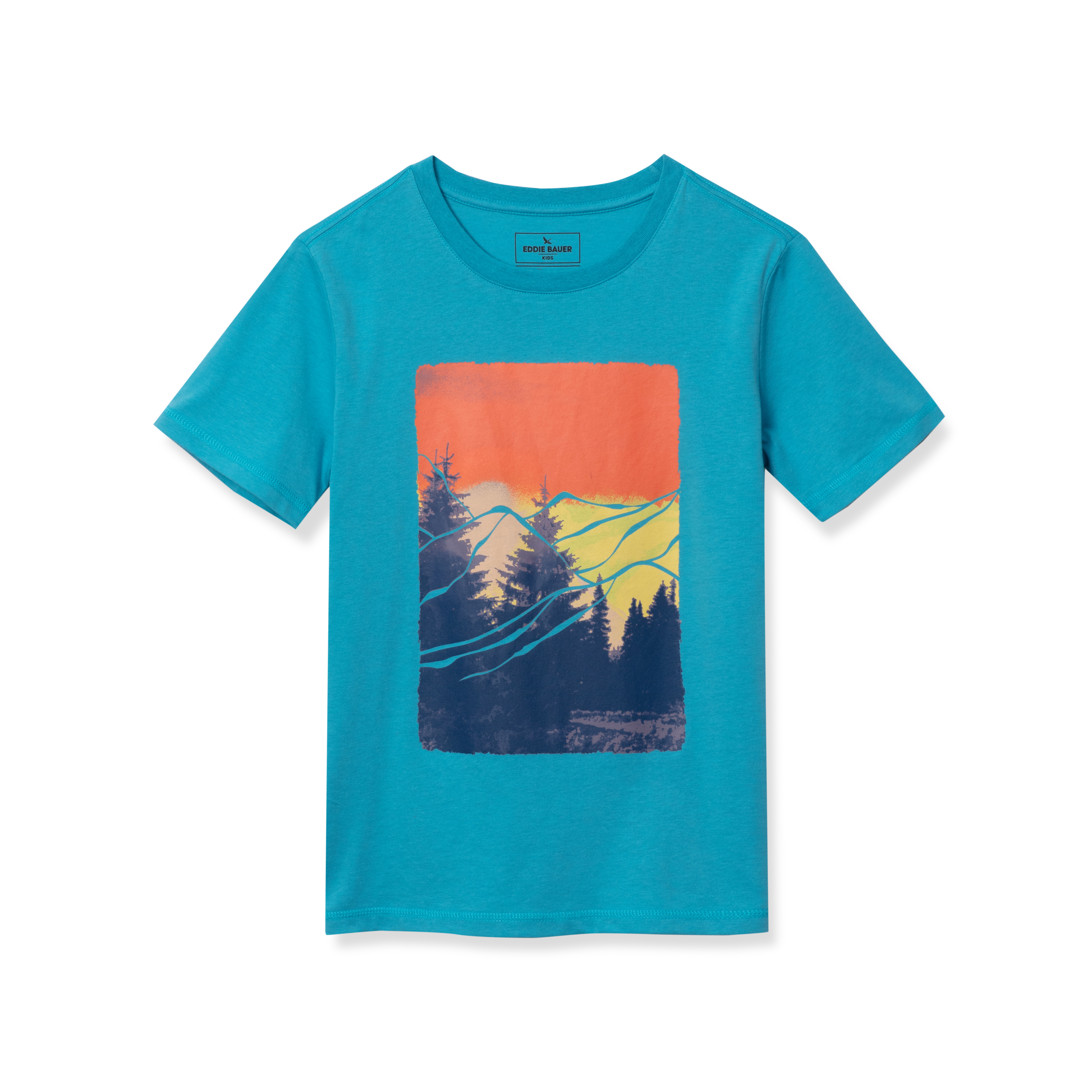 Boys Short Sleeve Graphic T-Shirt