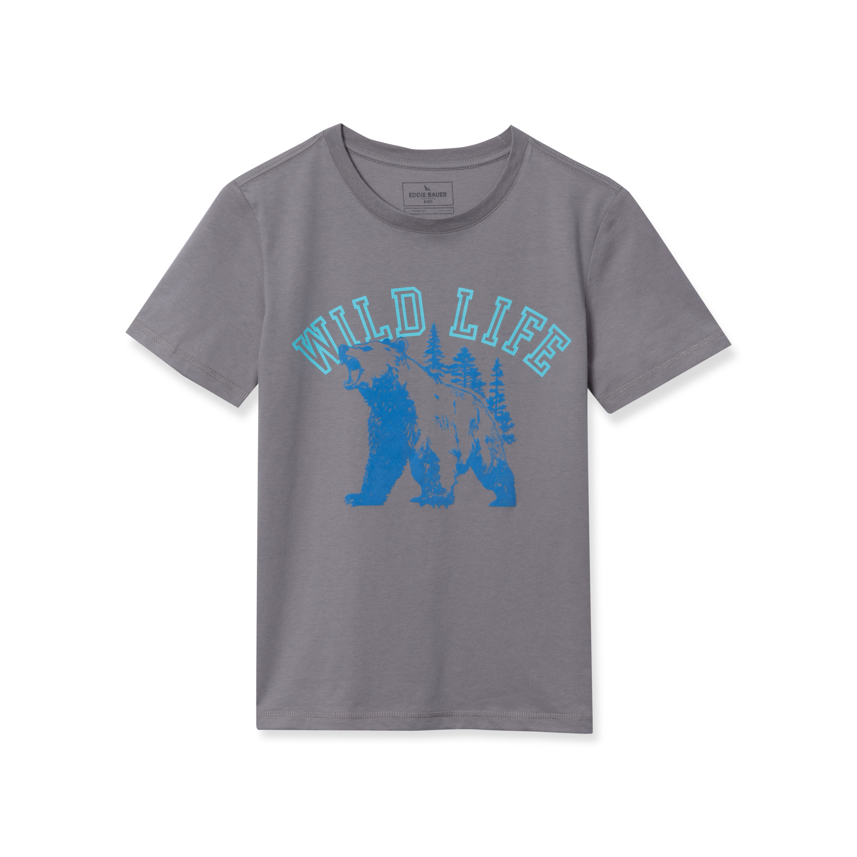 Boys Short Sleeve Graphic T-Shirt