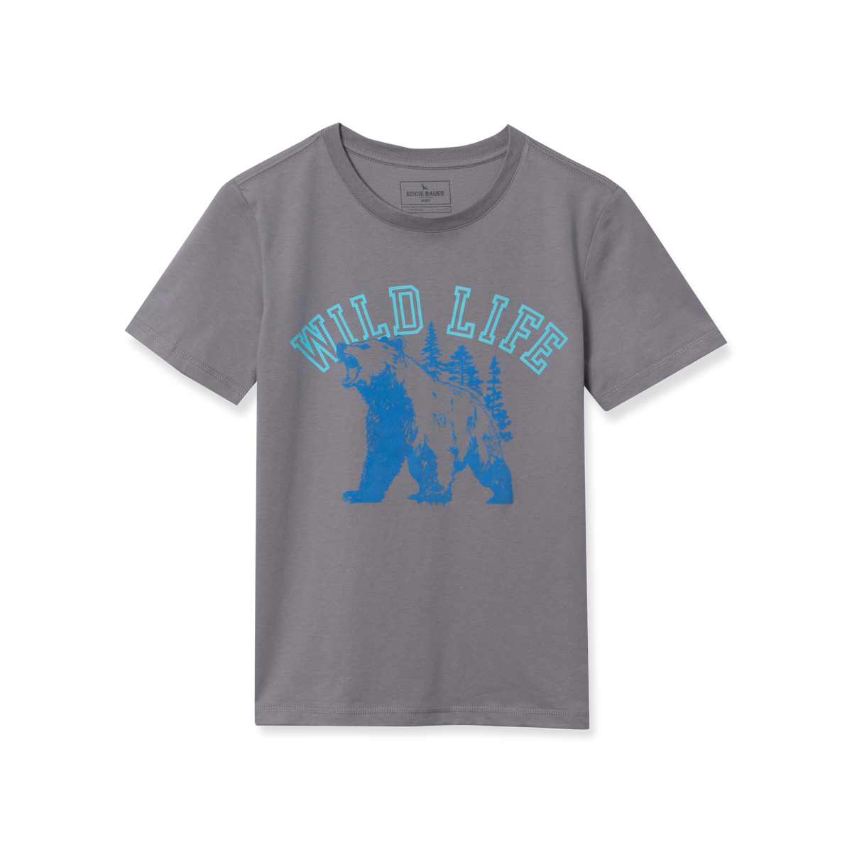Boys Short Sleeve Graphic T-Shirt
