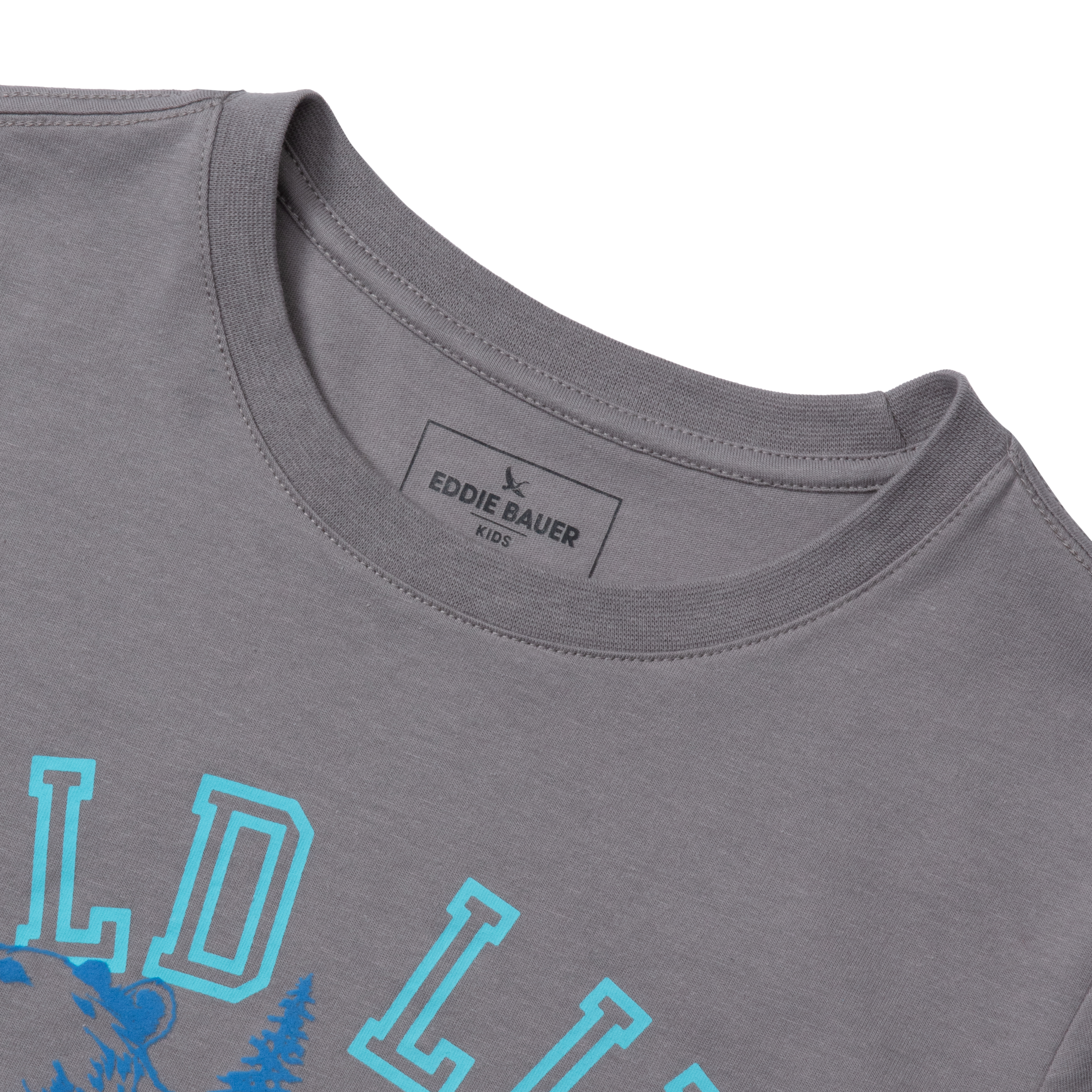 Boys Short Sleeve Graphic T-Shirt