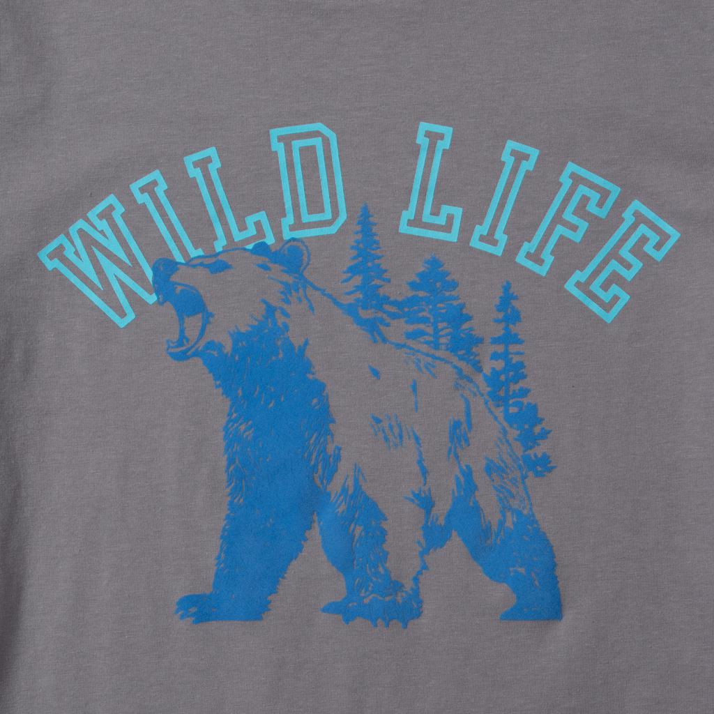 Boys Short Sleeve Graphic T-Shirt