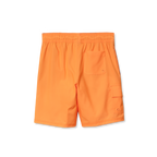 Boys Sea Spray Solid Comfort Liner Swim Shorts