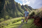 Men's Rainier Ripstop Short-Sleeve Shirt