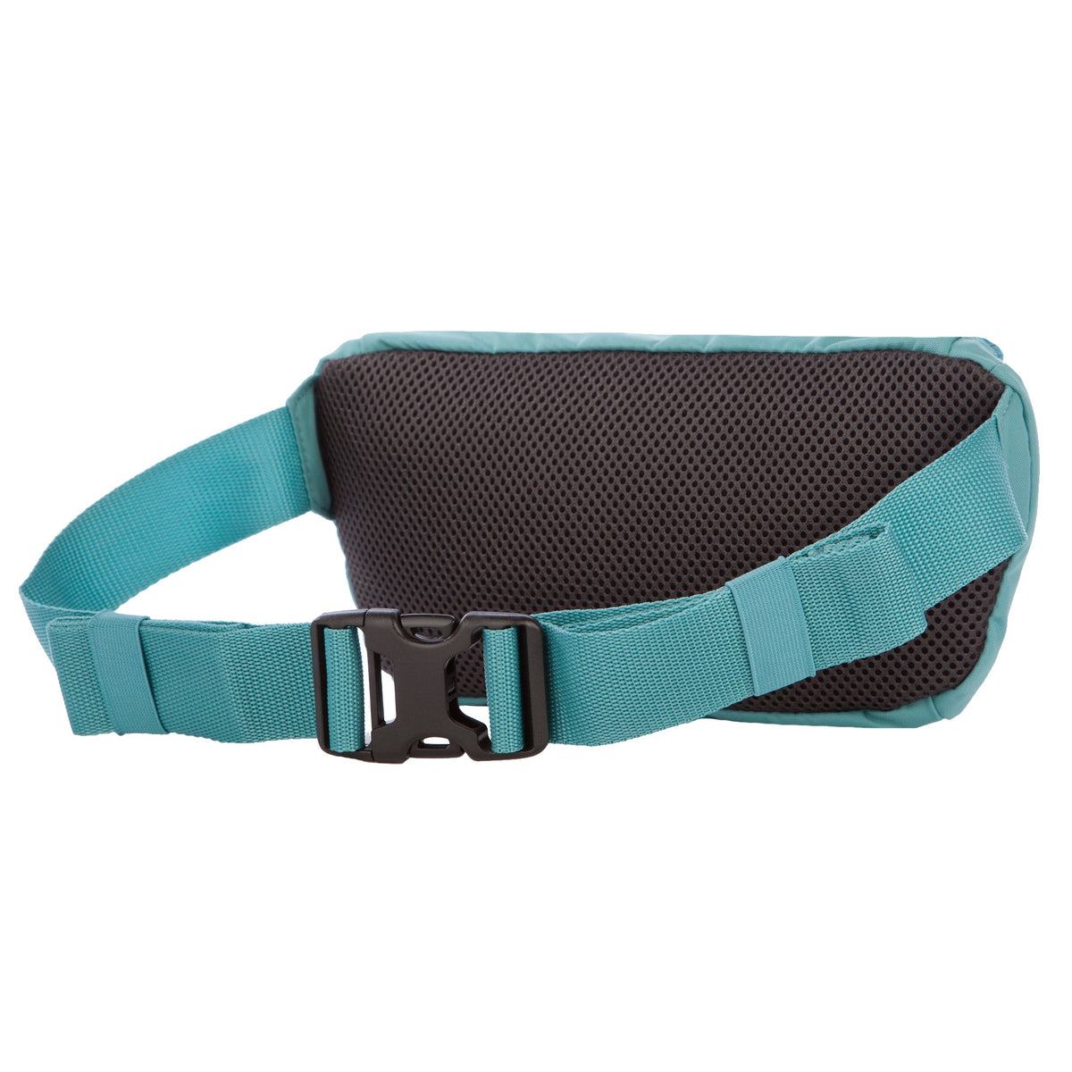 2L Transit Waist Pack