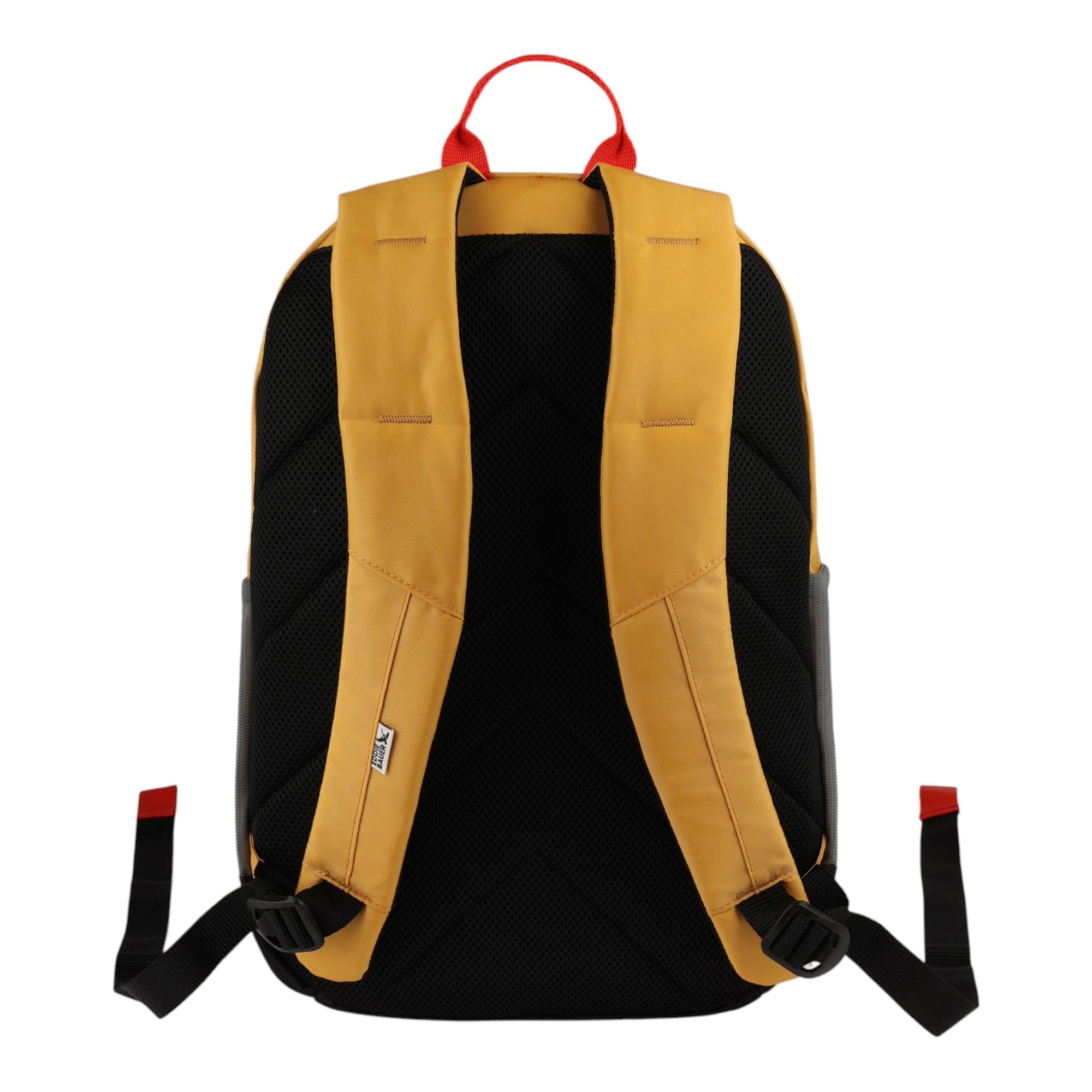 University 22L Backpack