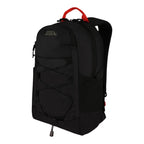 Varsity 22L Backpack