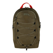 Varsity 22L Backpack - Alder