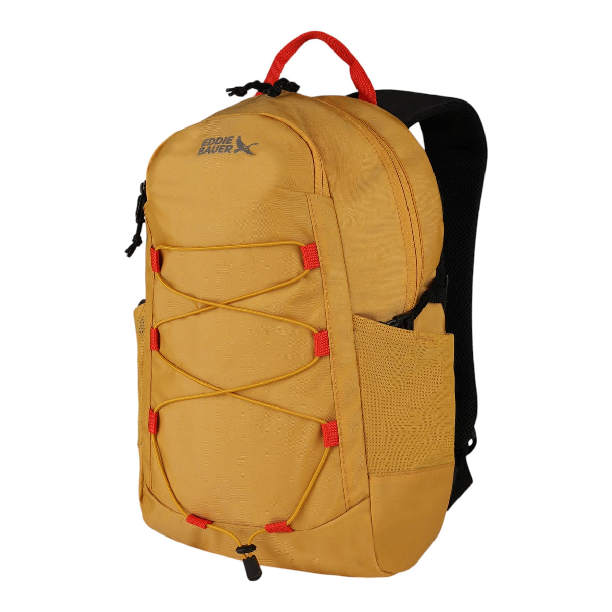 Varsity 22L Backpack