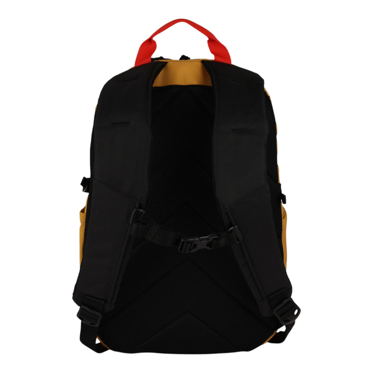 Varsity 22L Backpack