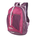 Stowaway Packable Daypack 30L