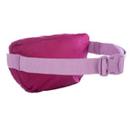Stowaway Convertible Packable Waistpack