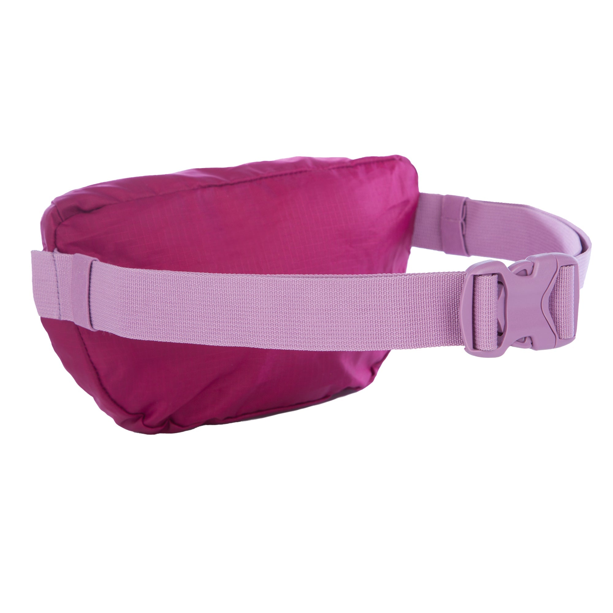 Stowaway Convertible Packable Waistpack