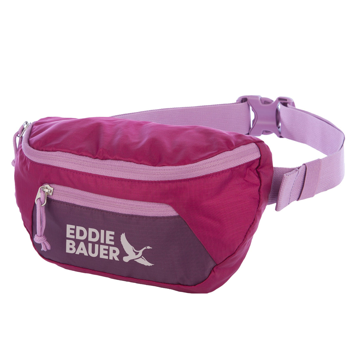 Stowaway Convertible Packable Waistpack