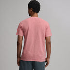 Men's Short-Sleeve Sunwashed Cotton Henley